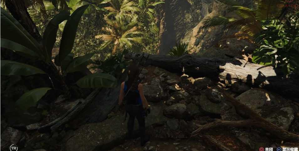 古墓丽影秘鲁丛林文献怎么走 古墓丽影秘鲁丛林文献怎么走