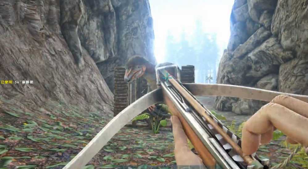 方舟生存进化开局怎么玩