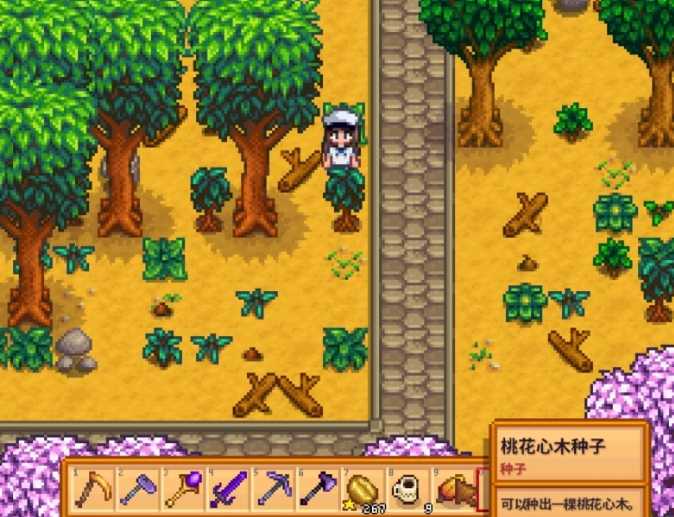 星露谷物语硬木在哪里多