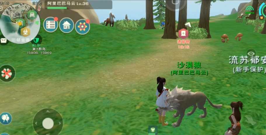 创造与魔法沙狼王饲料怎么做要几包