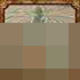 寂静岭f动如脱兔奖杯怎么解锁