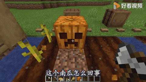我的世界怎么种南瓜 我的世界怎么种南瓜