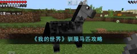 我的世界怎么驯养马