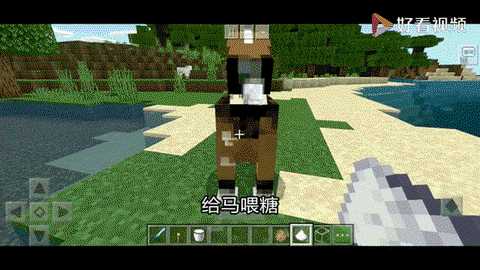 我的世界怎么驯养马