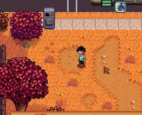 星露谷物语榛子怎么找