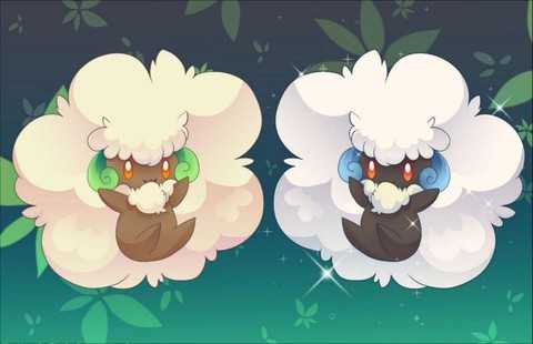 口袋妖怪妖闪是什么