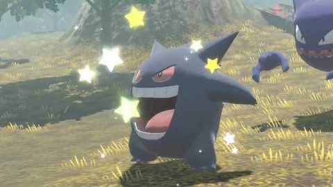 口袋妖怪妖闪是什么