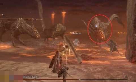 黑夜野兽格拉狄乌斯打法攻略详解 艾尔登法环黑夜君临黑夜王boss战过关攻略 黑夜野兽格拉狄乌斯打法攻略详解 艾尔登法环黑夜君临黑夜王boss战过关攻略