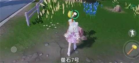 心动小镇12月10日溜溜橡木和无暇荧石采集位置