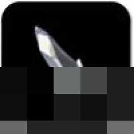 塞尔达无双封印战记全材料效果一览