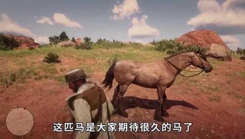 荒野大镖客2如何驯服伙伴