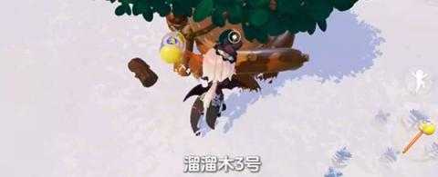 心动小镇1月20日溜溜橡木和无暇荧石采集位置