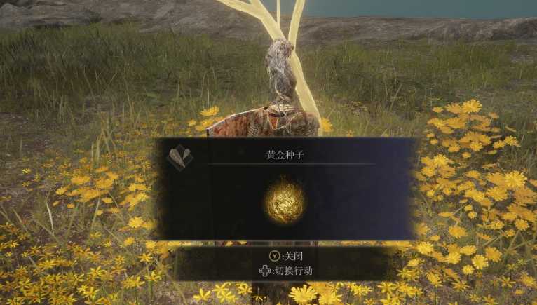 艾尔登法环全收集有哪些 艾尔登法环全收集有哪些