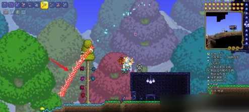 泰拉瑞亚如何增长星尘龙