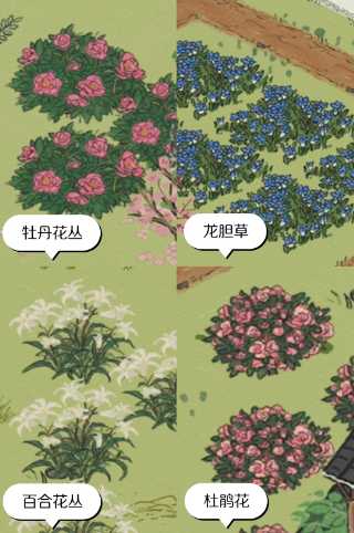 江南百景图怎么采牡丹花