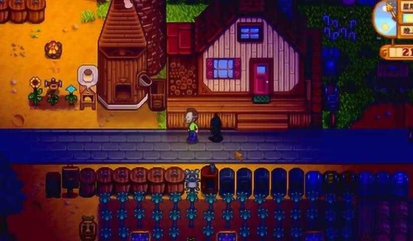 星露谷物语半夜仙女怎么触发