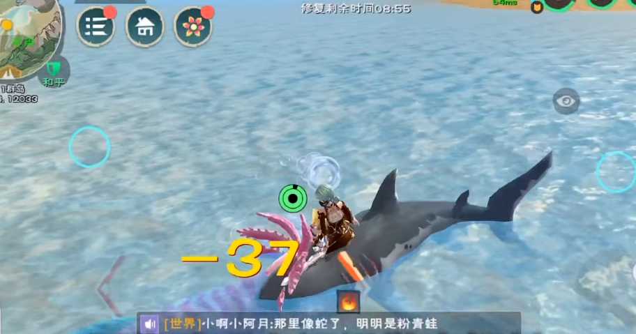 创造与魔法蝾螈多少包保底