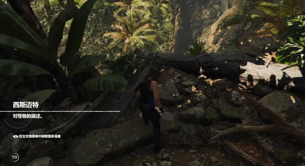 古墓丽影暗影秘鲁丛林文献怎么拿