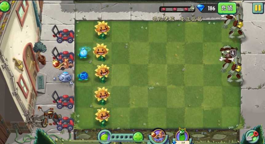 植物大战僵尸2蓝莓进阶考核怎么过