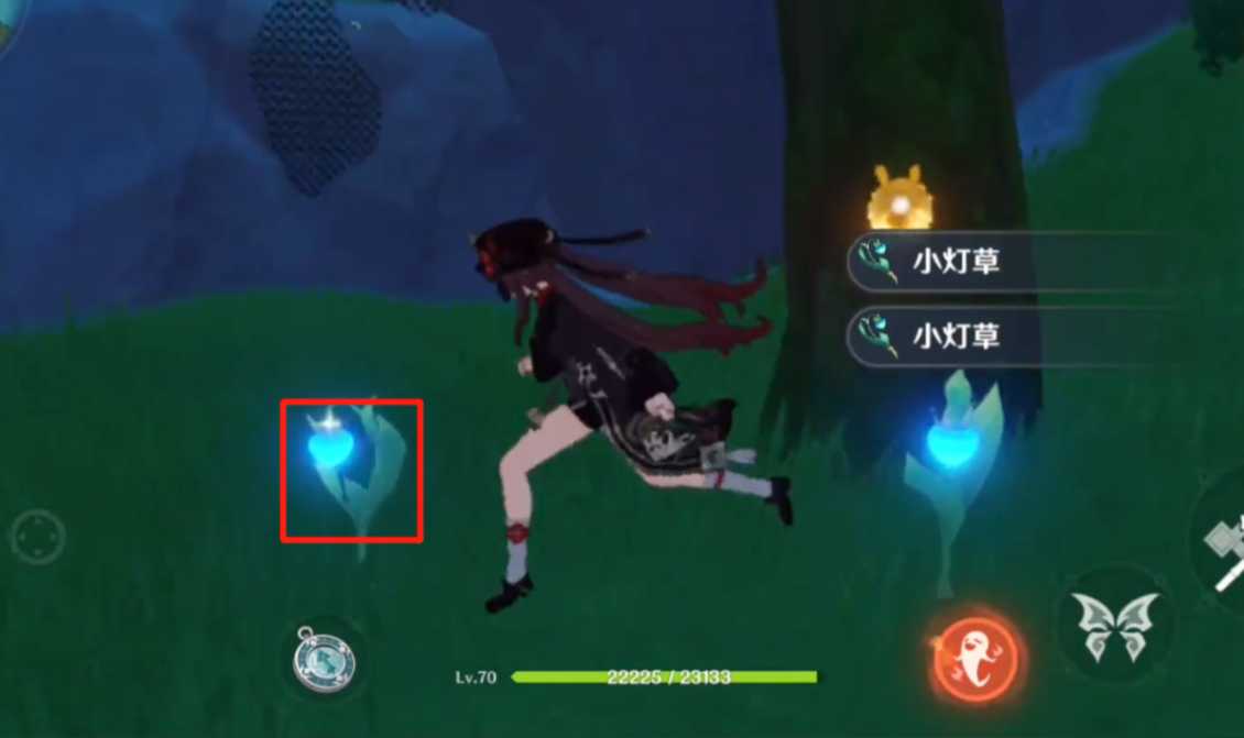 原神怎么快速找小灯草