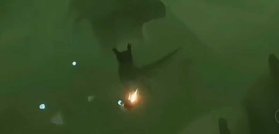 光遇如何驯龙转弯 光遇如何驯龙转弯