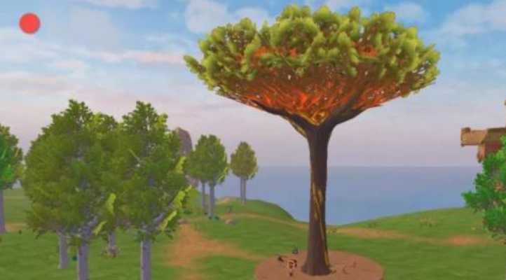 创造与魔法龙血树在哪里