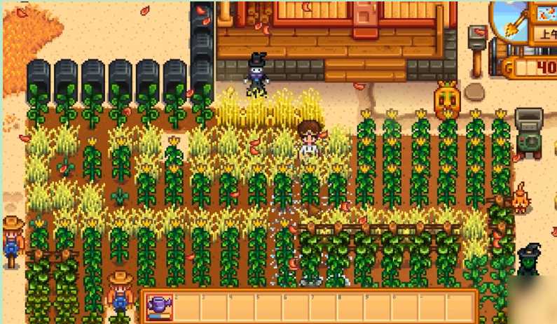 星露谷物语觅食10级怎么选 星露谷物语觅食10级怎么选