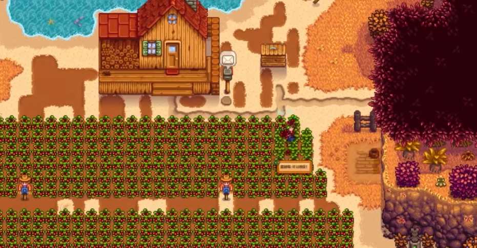 星露谷物语第一年秋天种什么