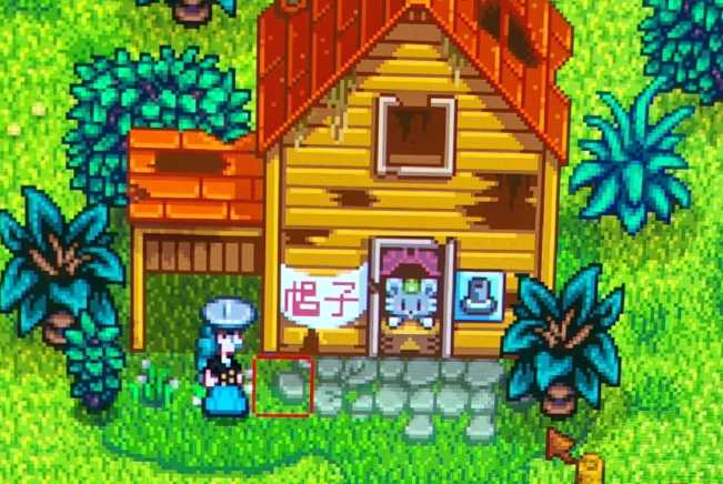 星露谷物语卖帽子的老鼠在哪里 星露谷物语卖帽子的老鼠在哪里