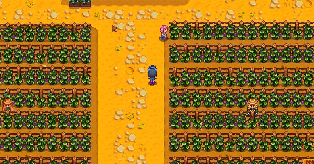 星露谷物语索菲亚家在哪