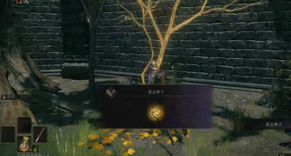 艾尔登法环地图怎么探索 艾尔登法环地图怎么探索