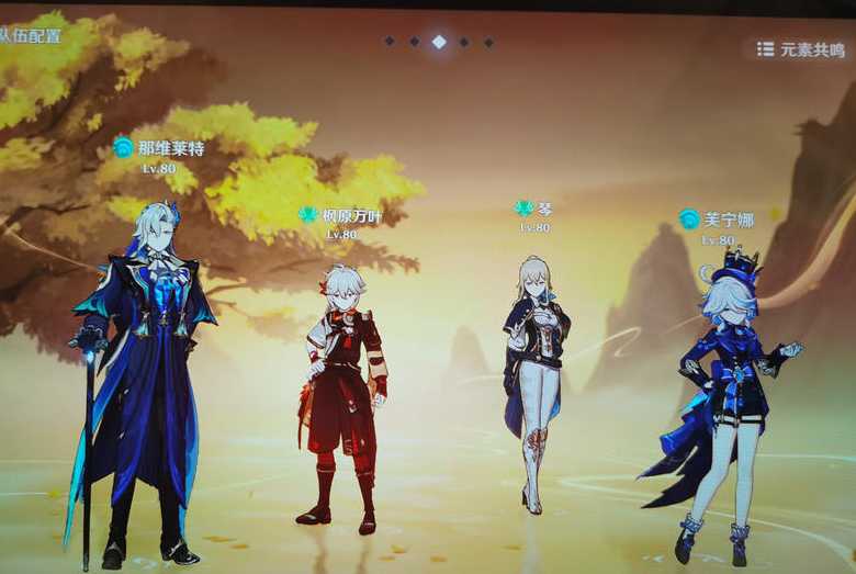 原神队伍带双风是为什么 原神队伍带双风是为什么