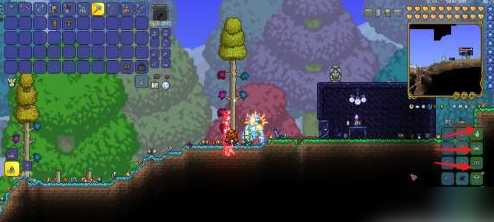 泰拉瑞亚如何增长星尘龙