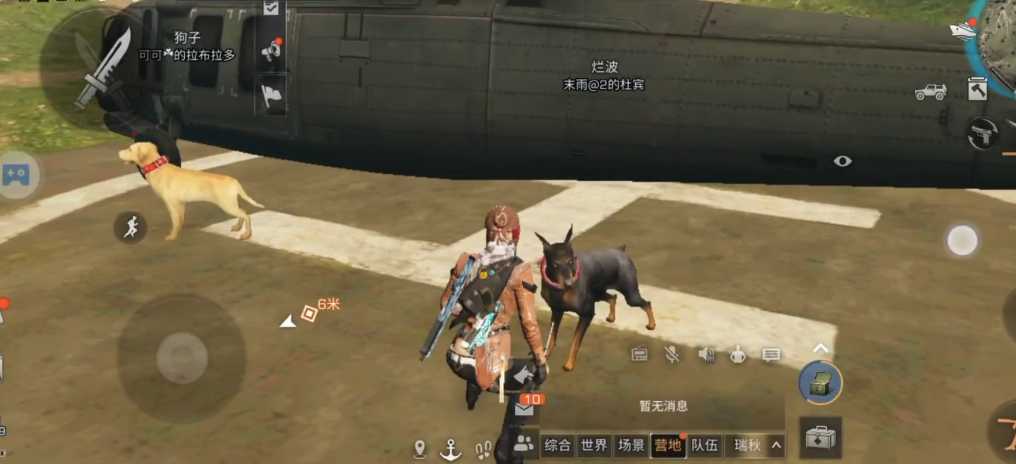 明日之后开局狗怎么选 明日之后开局狗怎么选