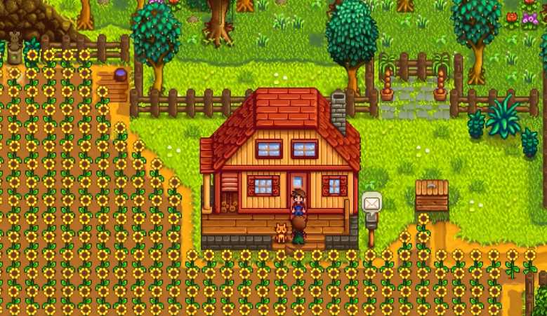 星露谷物语海莉最爱什么