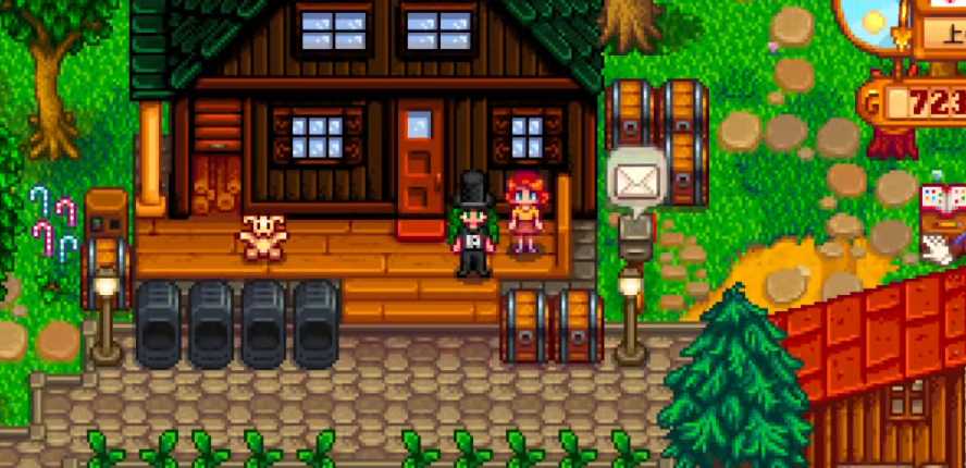 星露谷物语怎么结婚需要什么条件