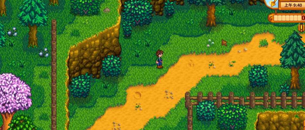 星露谷物语海莉在哪活动