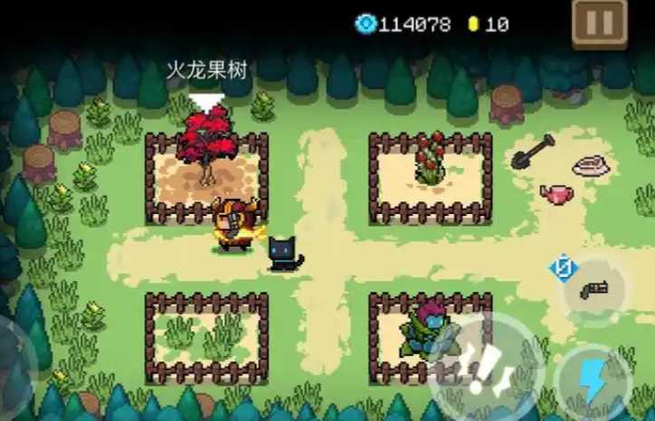 元气骑士火龙果哪里掉