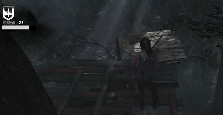 古墓丽影沿岸森林遗物怎么拿