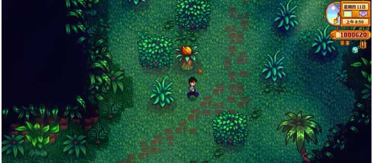 星露谷物语姜岛怎么赚钱