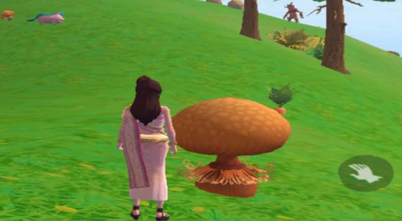 创造与魔法松露在哪里