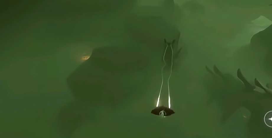 光遇怎么练习驯龙