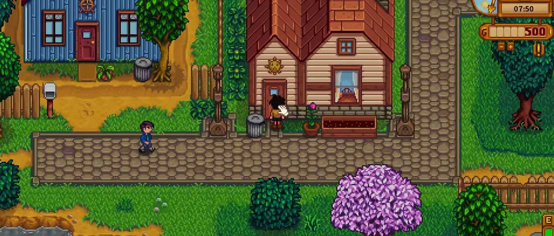 星露谷物语怎么和海莉结婚 星露谷物语怎么和海莉结婚