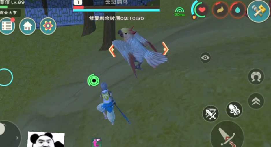 创造与魔法云斑鹦鸟在哪里刷 创造与魔法云斑鹦鸟在哪里刷