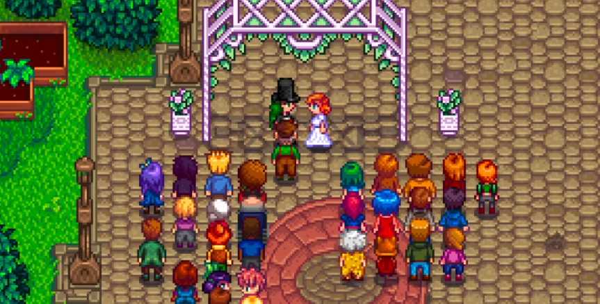 星露谷物语怎么结婚需要什么条件