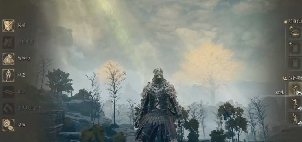 艾尔登法环最好用的套装是什么