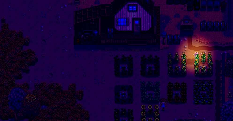 星露谷物语半夜仙女有什么用