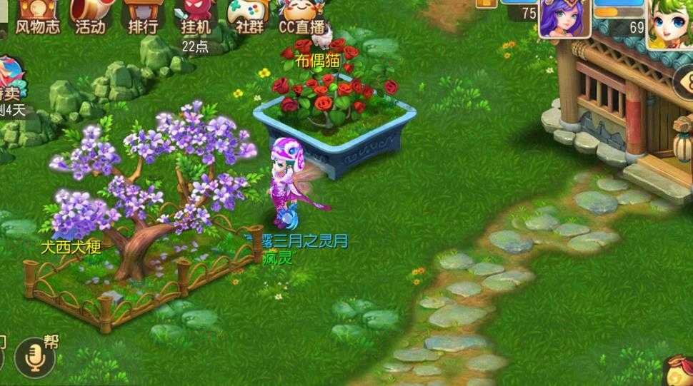 梦幻西游5开能做什么