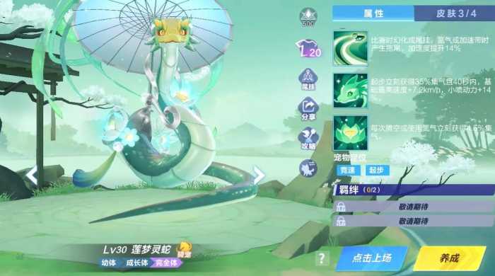 qq飞车手游骑宠哪个好 qq飞车手游骑宠哪个好