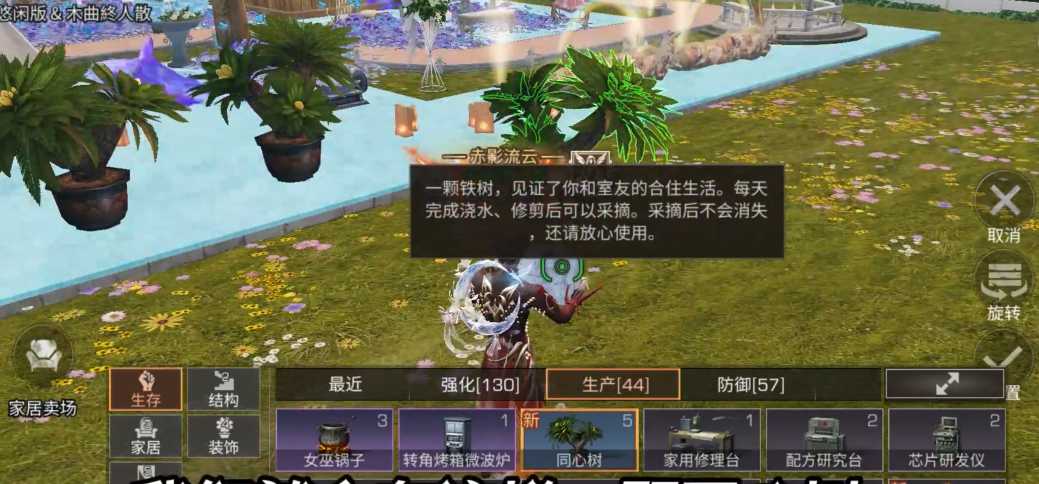 明日之后同心树怎么种